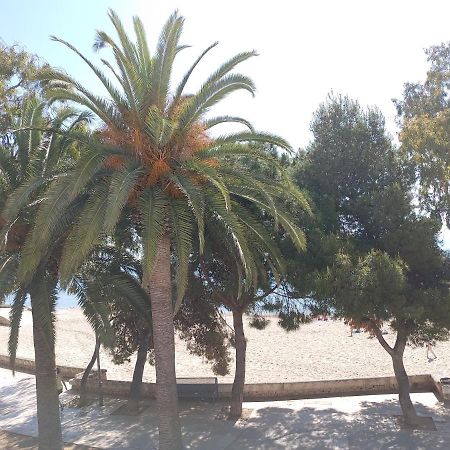 La Vela Al Vent Apartamentos Sant Carles De La Rapita Ngoại thất bức ảnh